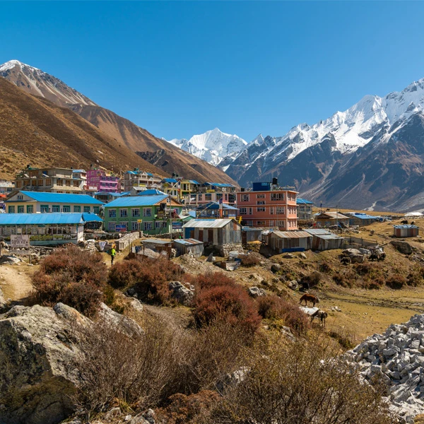 Langtang and Gosaikunda Pass Trek