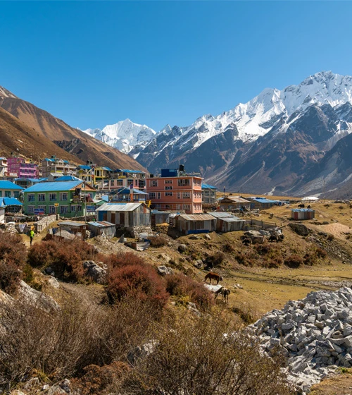 langtang gosaikunda trekking